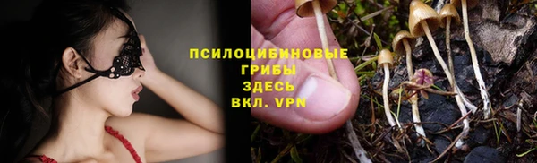 первитин Инсар
