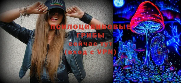 а пвп мука Инта