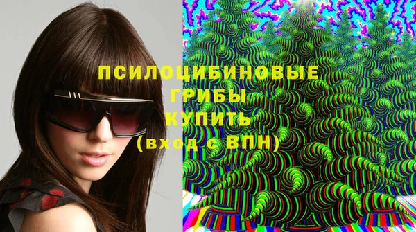 первитин Инсар