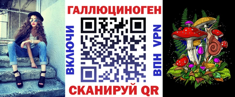 Купить закладки  Кондопога  Галлюциногенные грибы Magic Shrooms 